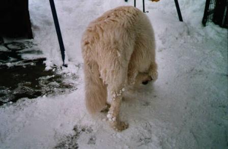 Februar 2004