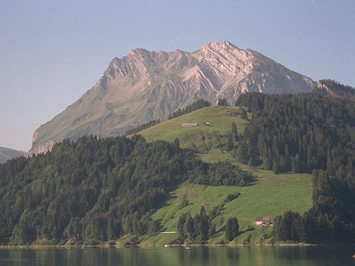 Fluebrig