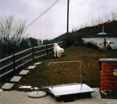 Februar 2004